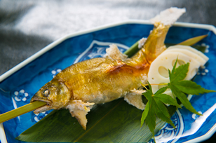 Grilled Japanese salmon with salt