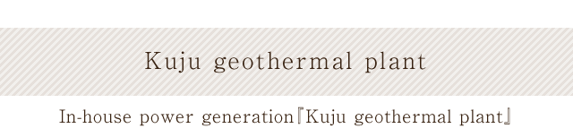 In-house power generation『Kuju geothermal plant』