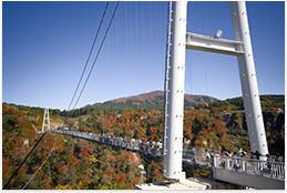 Kokonoe Yume big rope bridge