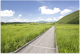 Date field wetlands　Choja field research path