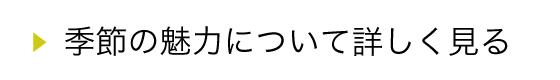 季節の魅力について詳しく見る