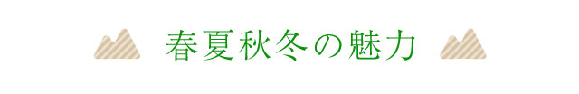 春夏秋冬の魅力