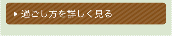 過ごし方を詳しく見る