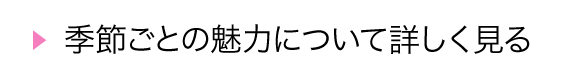 季節ごとの魅力について詳しく見る